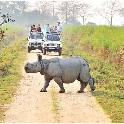 Assam - Meghalaya