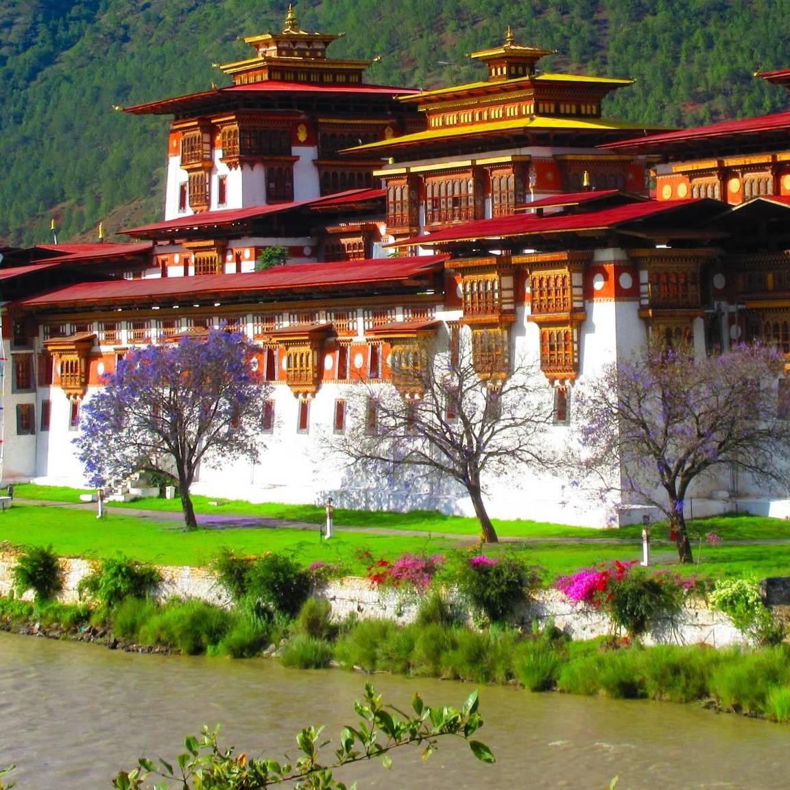 Natural Bhutan