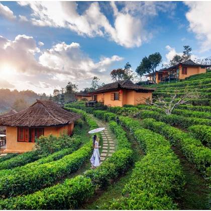 Breathtaking Assam & Meghalaya Journey