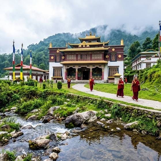 Gracefull Darjeeling & Sikkim